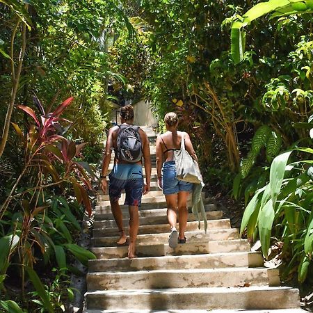 Funky Monkey Lodge Playa Santa Teresa  Екстериор снимка