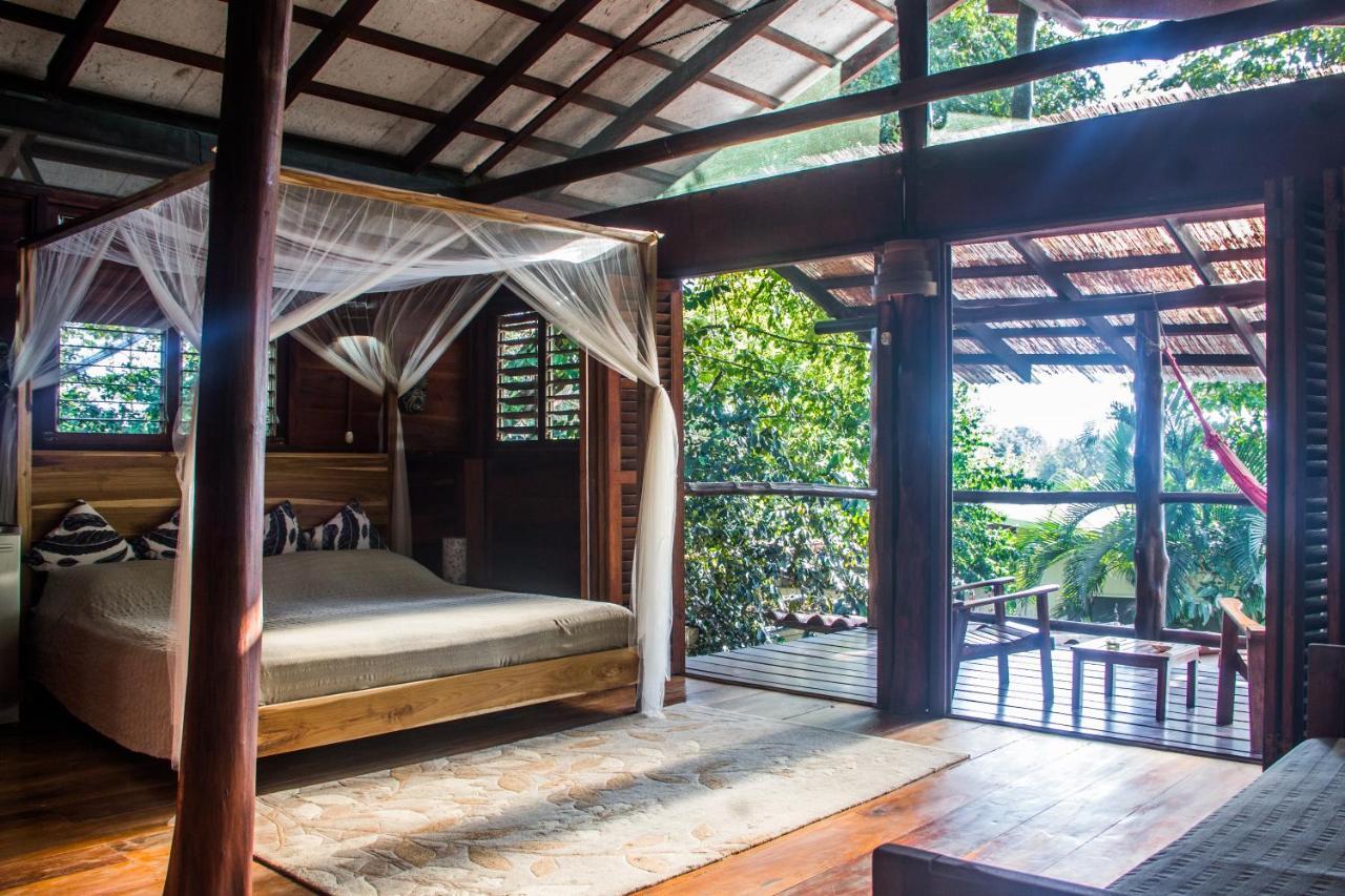 Funky Monkey Lodge Playa Santa Teresa  Екстериор снимка