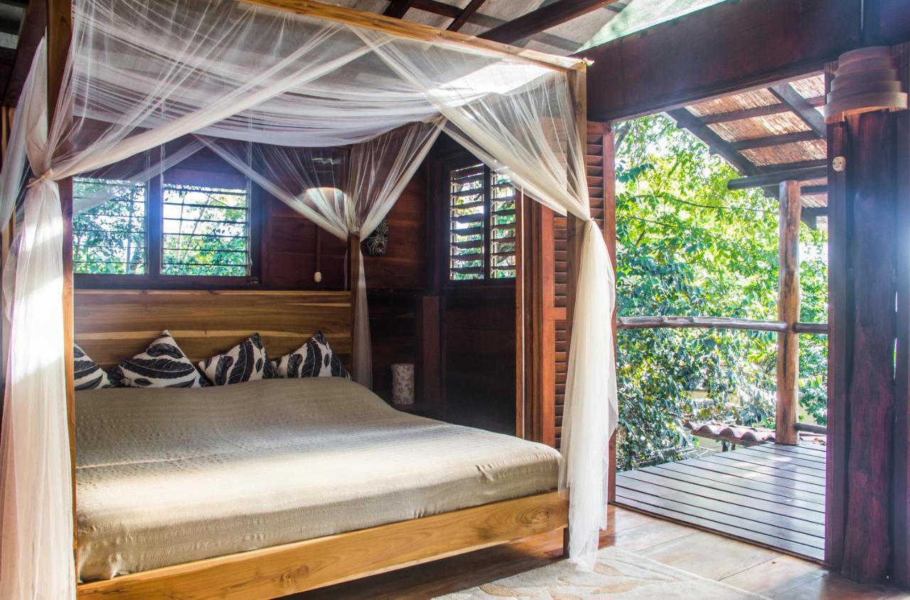 Funky Monkey Lodge Playa Santa Teresa  Екстериор снимка