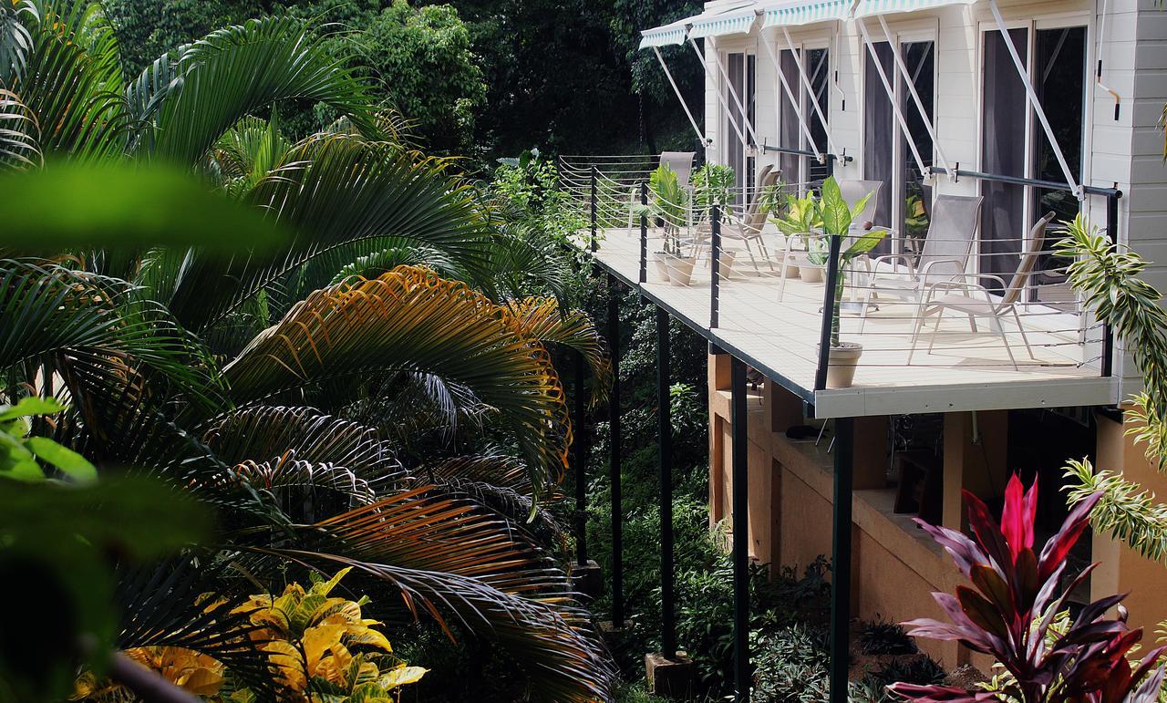 Funky Monkey Lodge Playa Santa Teresa  Екстериор снимка