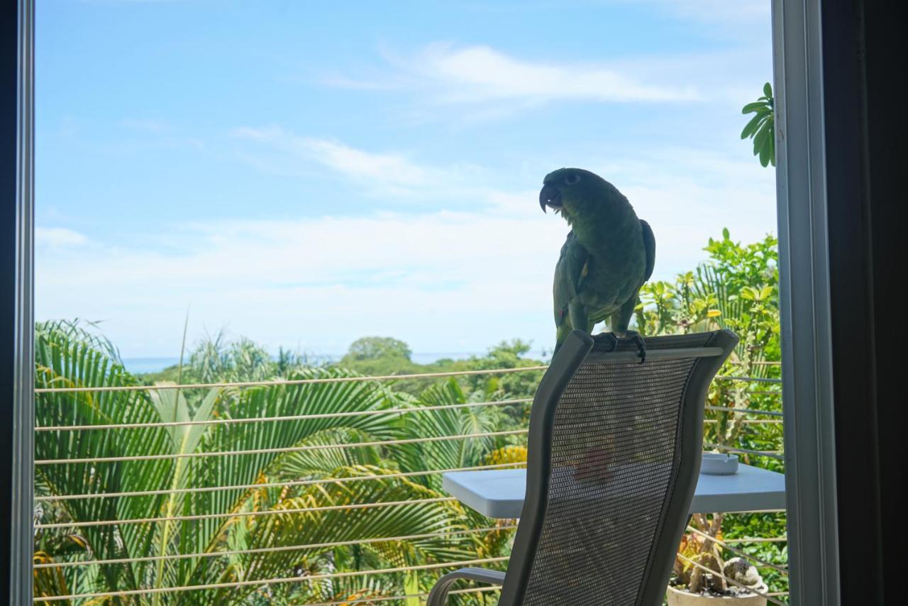 Funky Monkey Lodge Playa Santa Teresa  Екстериор снимка
