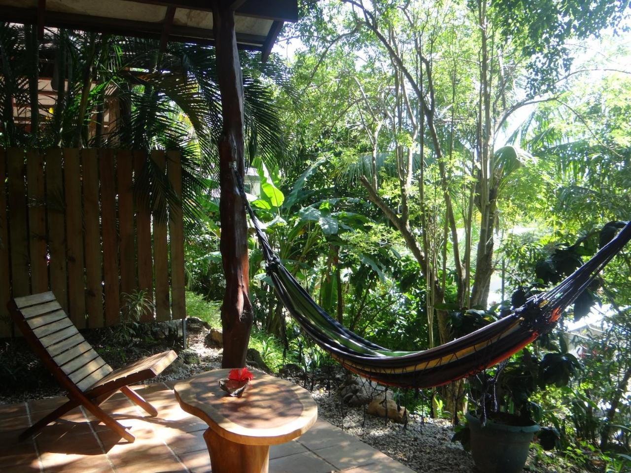 Funky Monkey Lodge Playa Santa Teresa  Екстериор снимка
